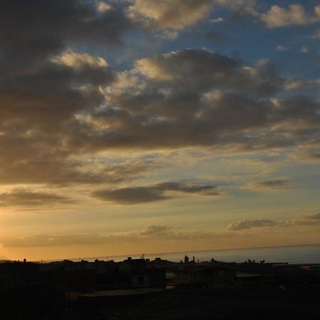 Discover The North Of The Island Of Tenerife Ла Лагуна Екстериор снимка